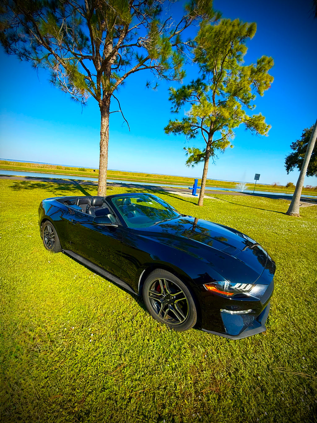 2021 MUSTANG CONVERTIBLE