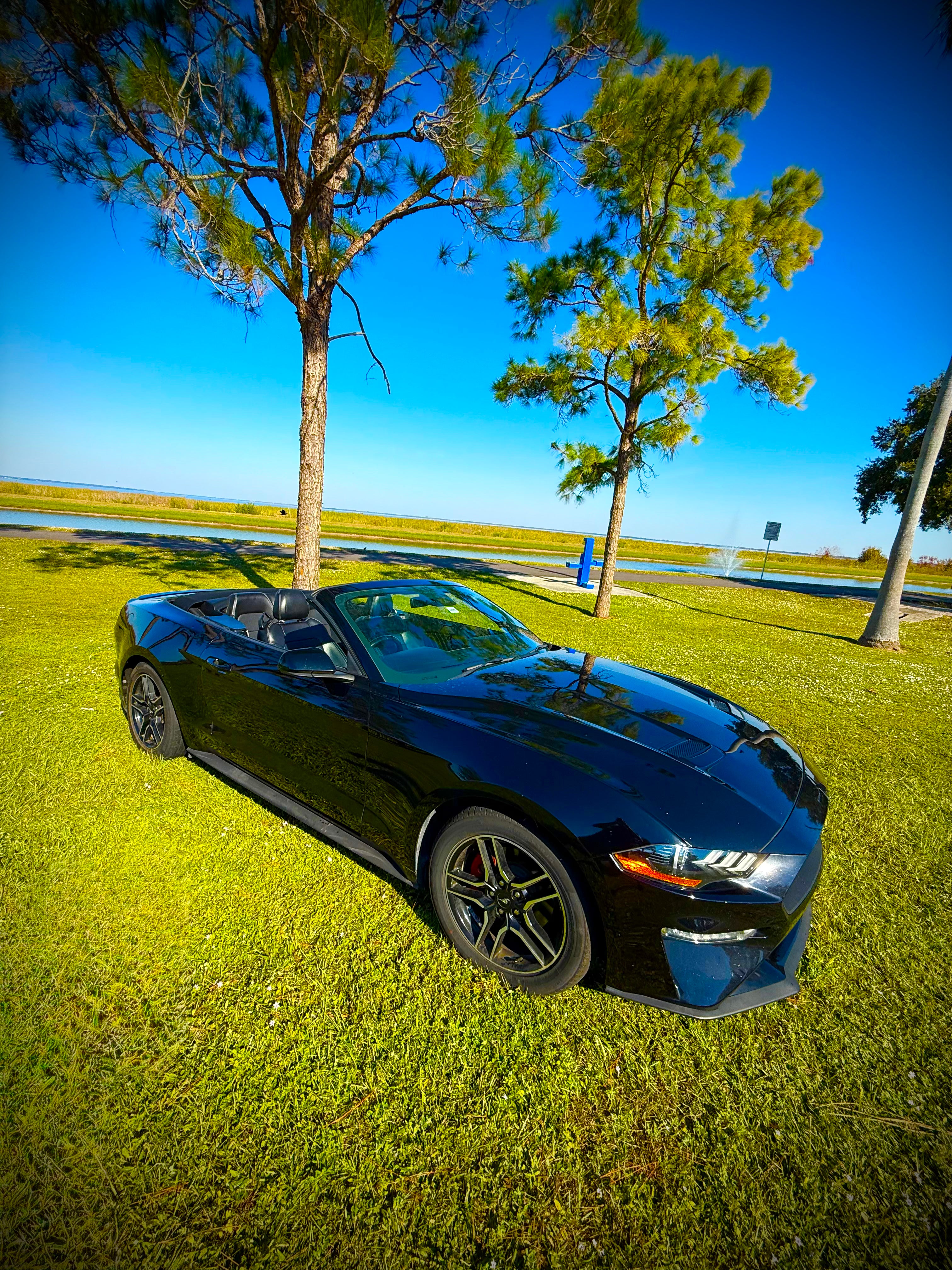 2021 MUSTANG CONVERTIBLE